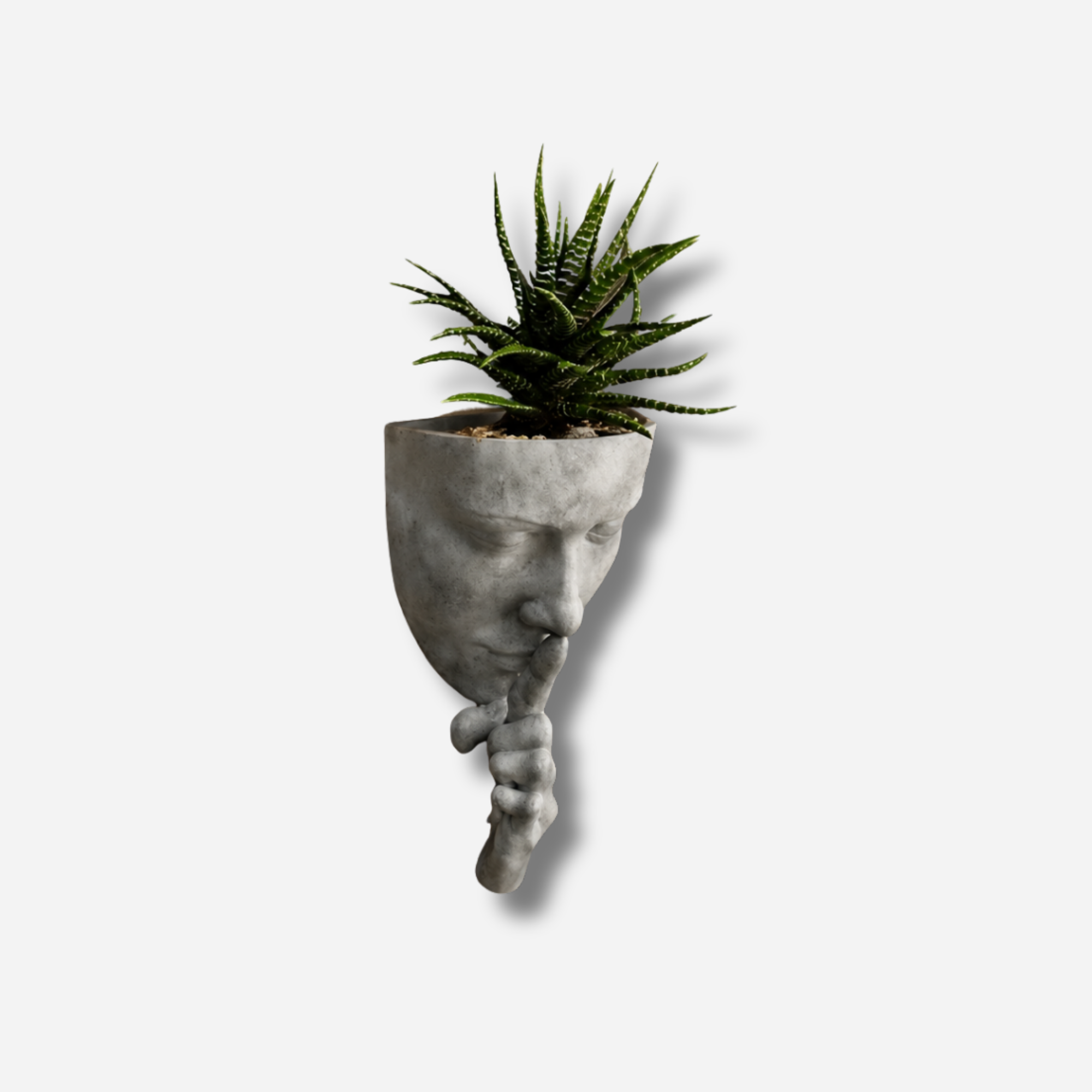 Tylos Vazonas
