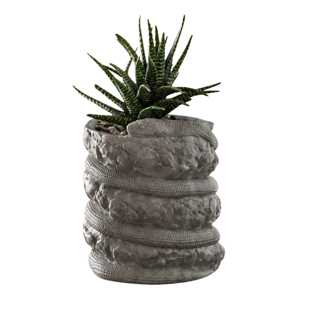 Desert Serpent